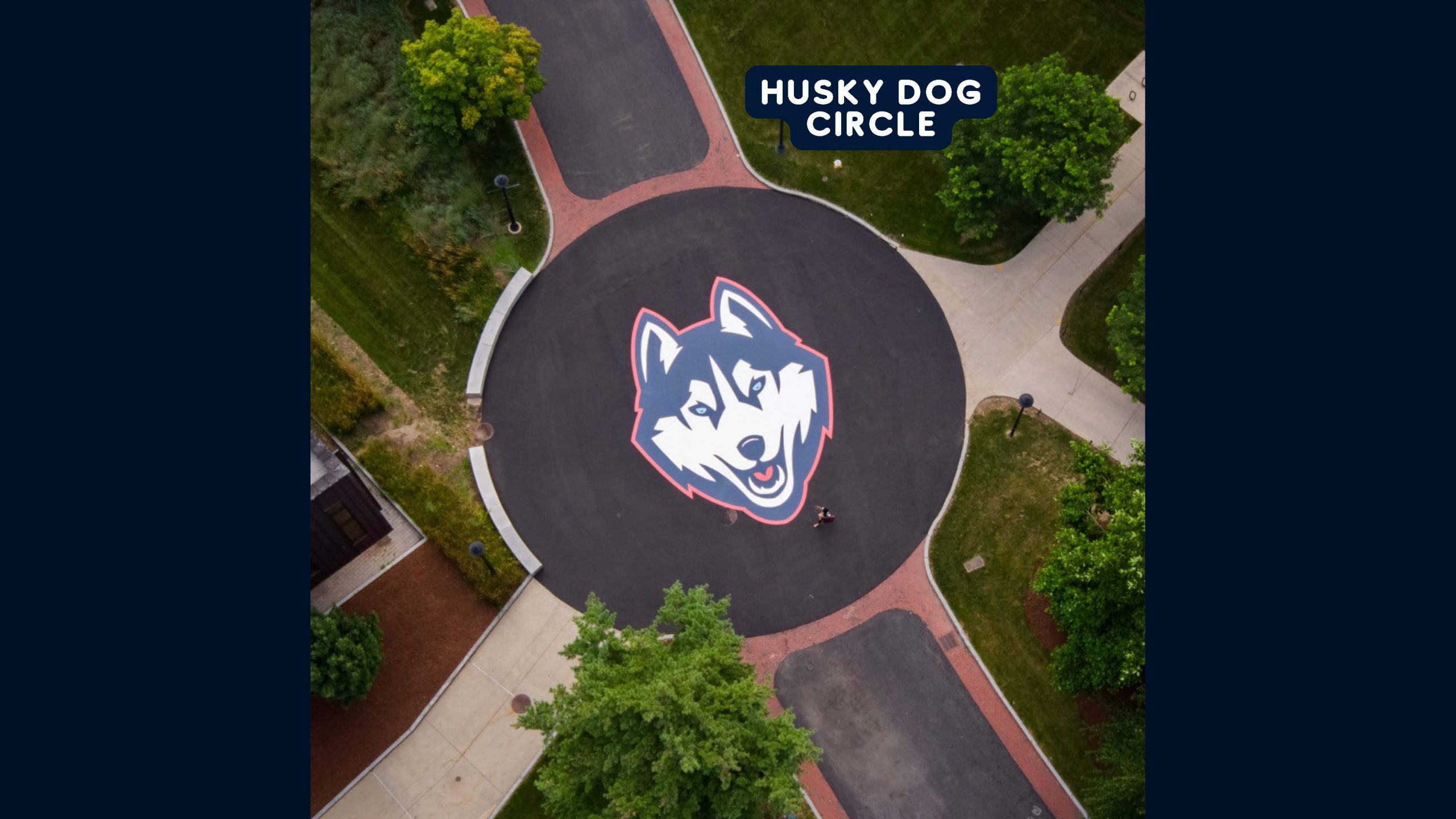 Husky Dog Circle